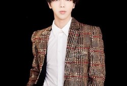 嘉善星派爆料最新消息新闻,揭秘星派动向，独家新闻抢先看！